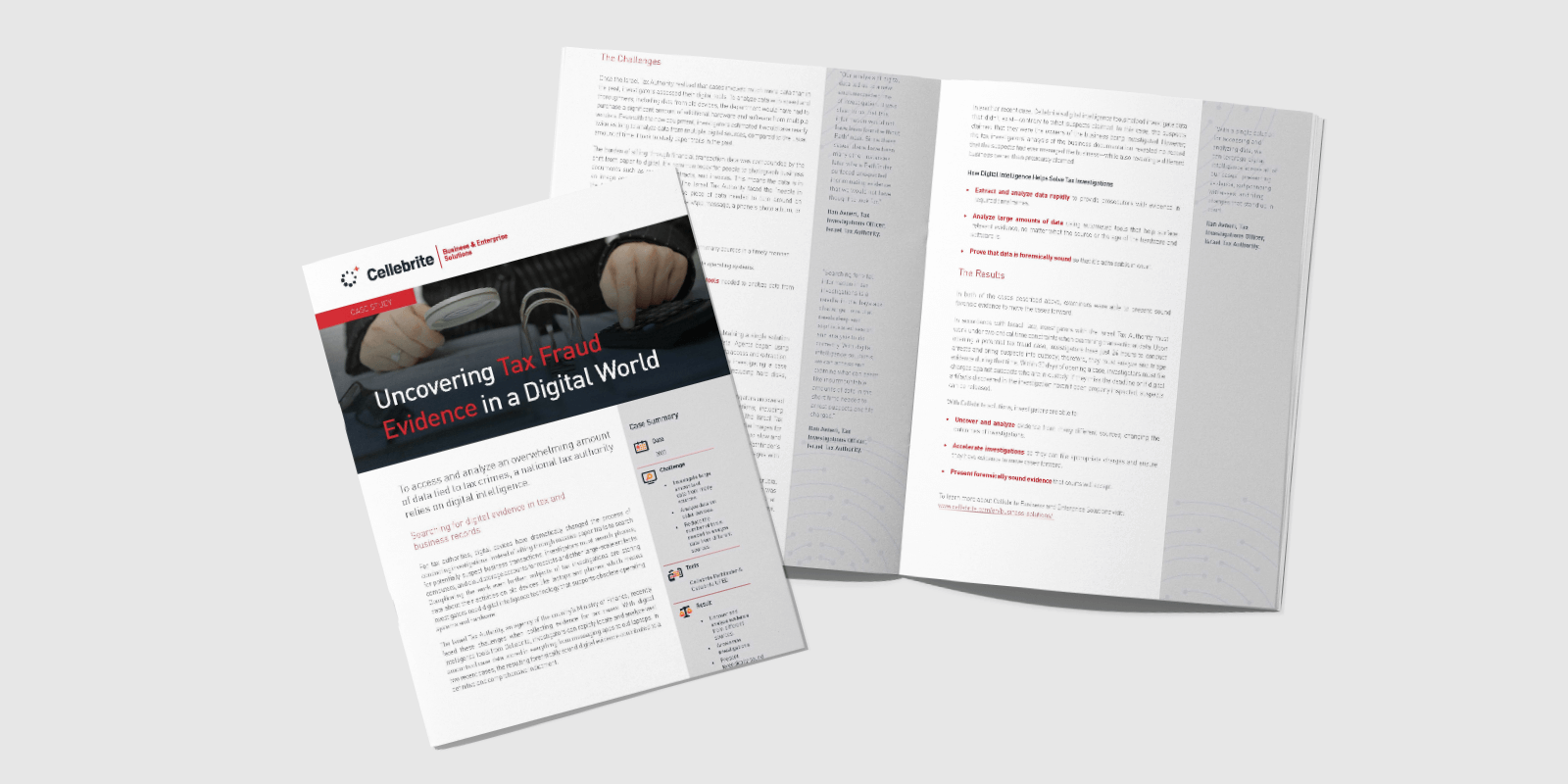 Aufdeckung von Steuerbetrug in einer digitalen Welt