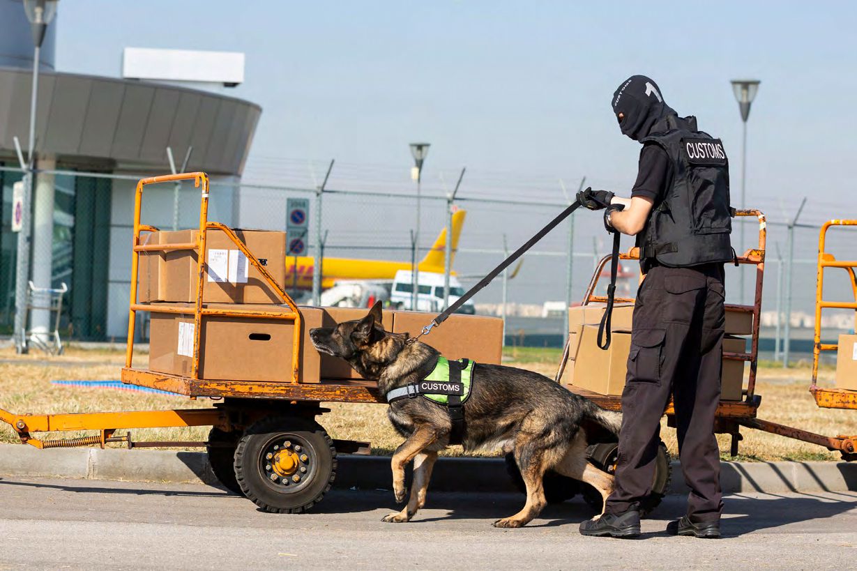 border security