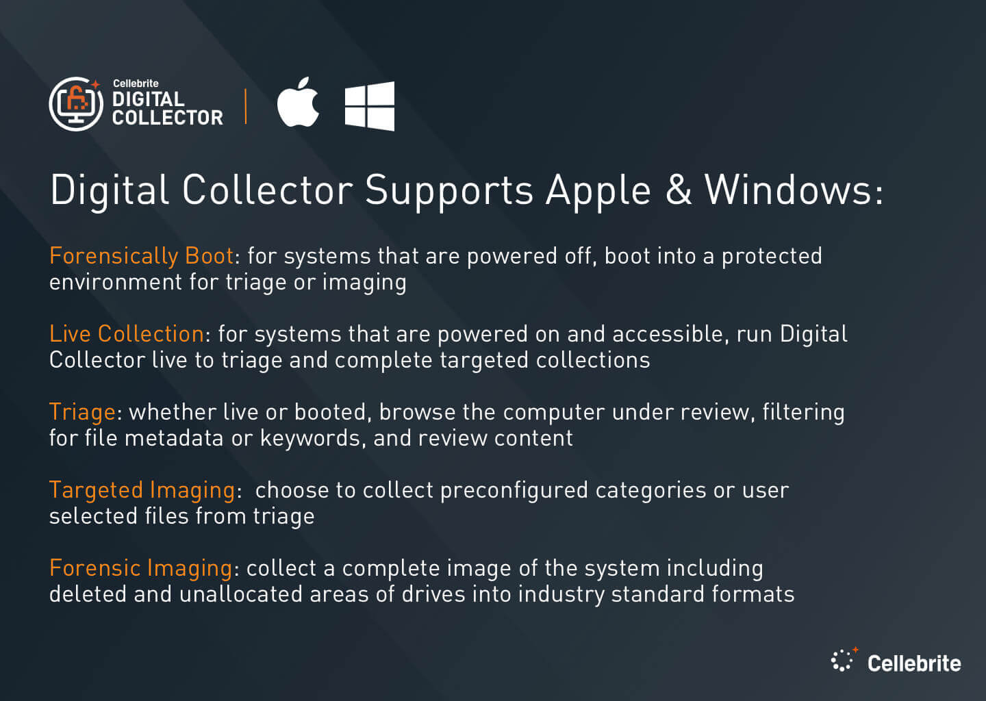 digital collector graphic 
