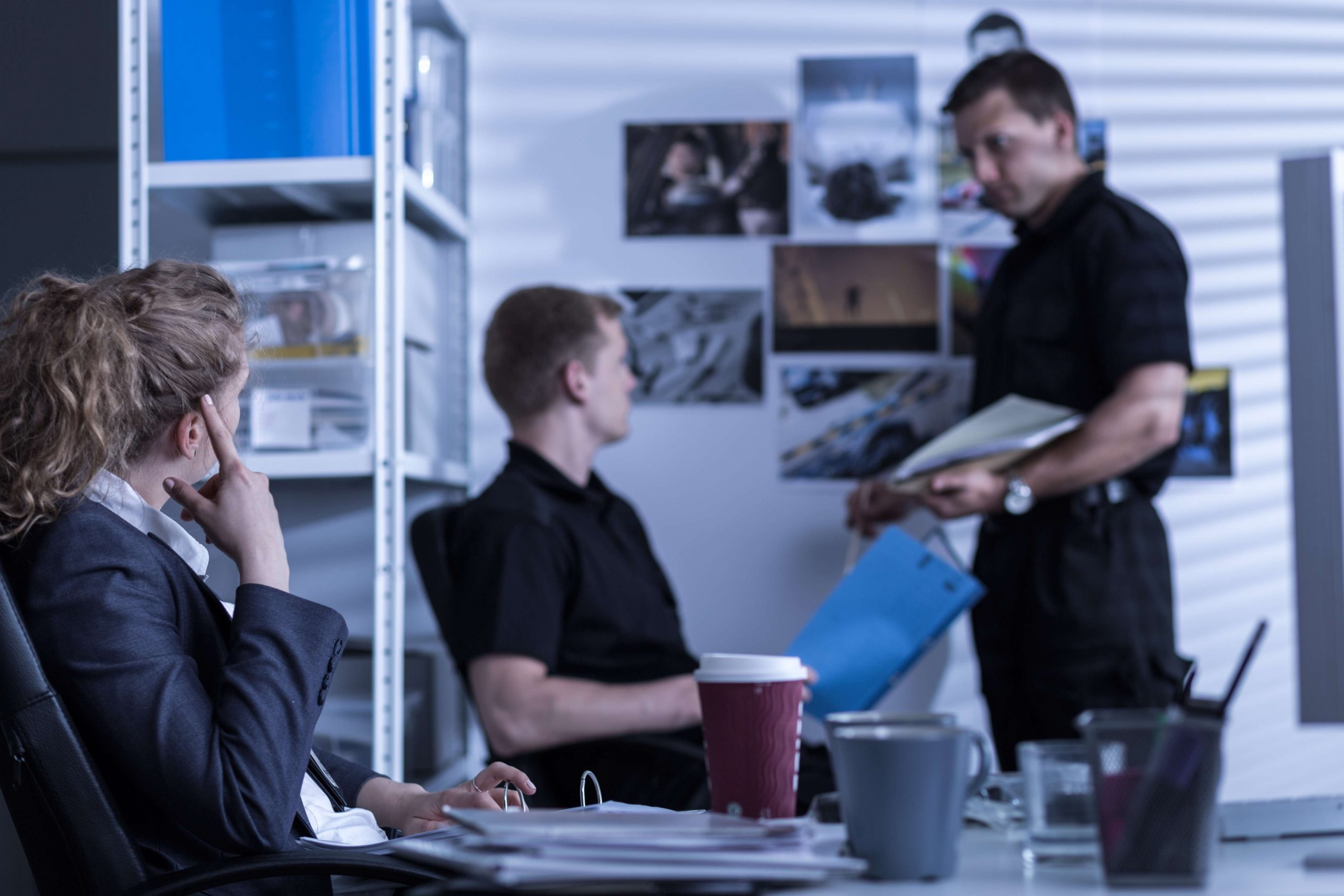 Tapping into the Mind of a Digital Investigator