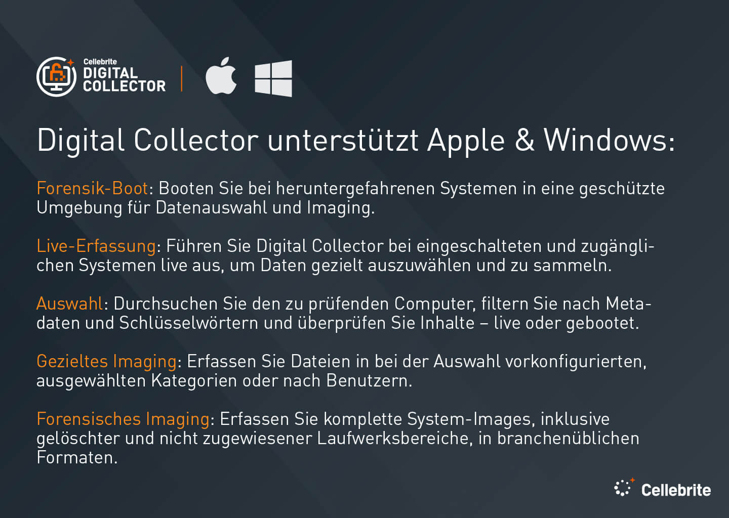 digital collector graphic