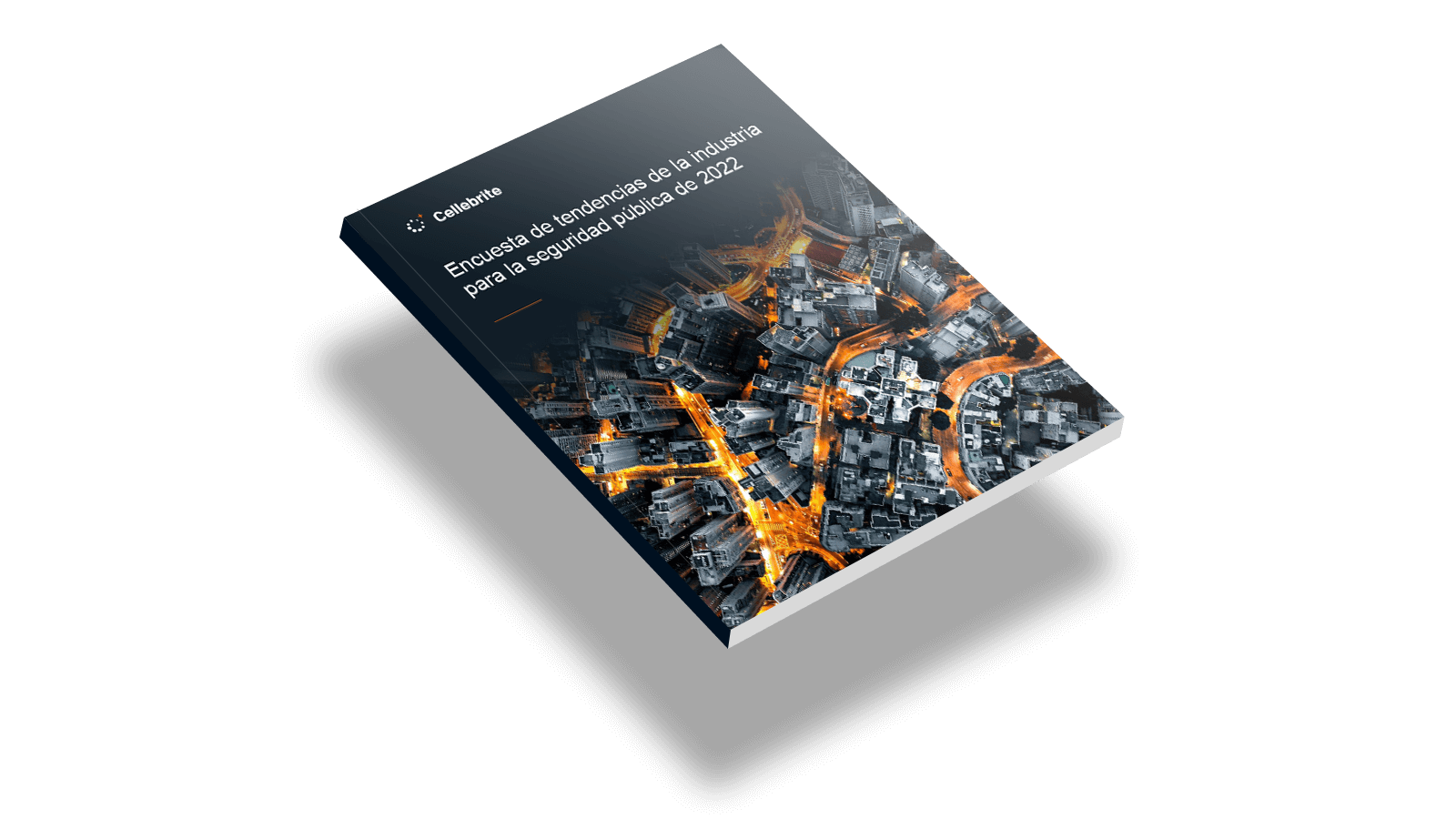 Encuesta de tendencias de la industria de Seguridad Publica 2022