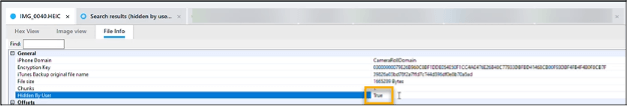 Validate the flag shown below when looking at the File Info tab in Physical Analyzer.